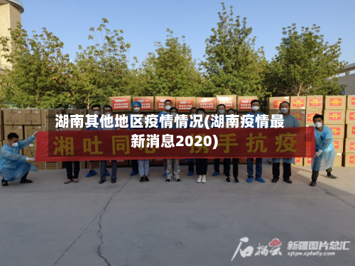 湖南其他地区疫情情况(湖南疫情最新消息2020)-第2张图片