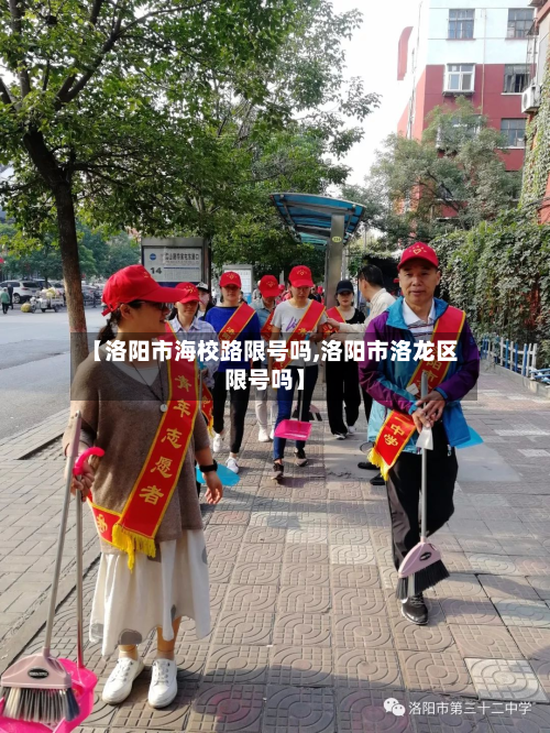 【洛阳市海校路限号吗,洛阳市洛龙区限号吗】-第3张图片