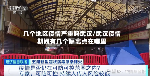 几个地区疫情严重吗武汉/武汉疫情期间有几个隔离点在哪里-第2张图片