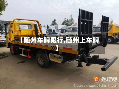 【随州车牌限行,随州上车牌】-第3张图片
