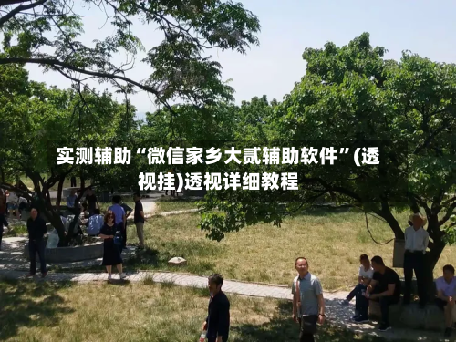 实测辅助“微信家乡大贰辅助软件”(透视挂)透视详细教程-第3张图片