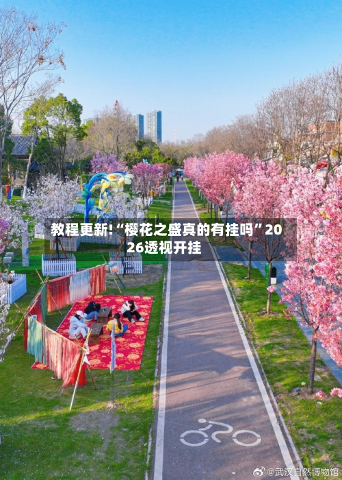 教程更新!“樱花之盛真的有挂吗”2026透视开挂-第2张图片