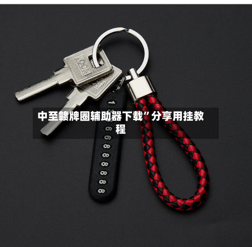 中至赣牌圈辅助器下载”分享用挂教程-第3张图片