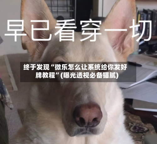 终于发现“微乐怎么让系统给你发好牌教程	”(曝光透视必备猫腻)-第2张图片