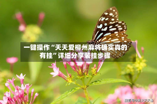 一键操作“天天爱柳州麻将确实真的有挂	”详细分享装挂步骤-第3张图片
