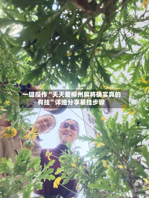 一键操作“天天爱柳州麻将确实真的有挂”详细分享装挂步骤-第2张图片