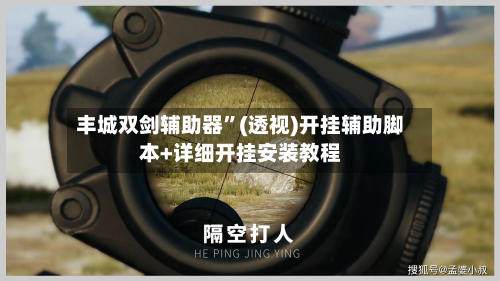 丰城双剑辅助器”(透视)开挂辅助脚本+详细开挂安装教程