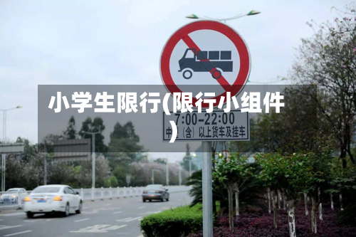 小学生限行(限行小组件)-第3张图片