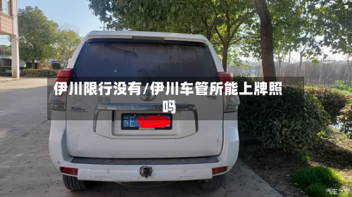 伊川限行没有/伊川车管所能上牌照吗