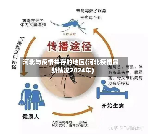 河北与疫情共存的地区(河北疫情最新情况2024年)-第2张图片