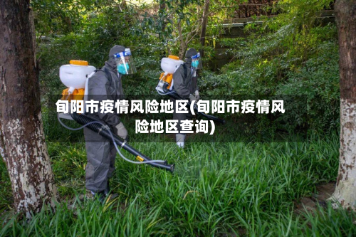 旬阳市疫情风险地区(旬阳市疫情风险地区查询)