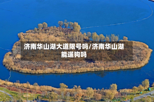 济南华山湖大道限号吗/济南华山湖能遛狗吗-第2张图片