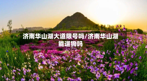 济南华山湖大道限号吗/济南华山湖能遛狗吗-第3张图片