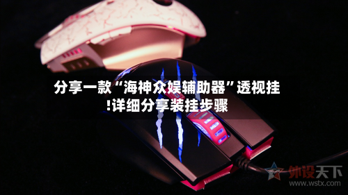 分享一款“海神众娱辅助器	”透视挂!详细分享装挂步骤-第3张图片