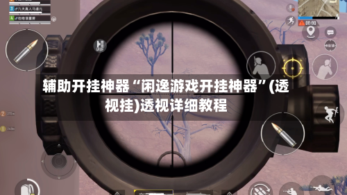 辅助开挂神器“闲逸游戏开挂神器”(透视挂)透视详细教程-第3张图片