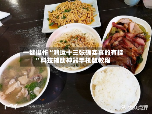 一键操作“鸿运十三张确实真的有挂”科技辅助神器手机版教程-第2张图片
