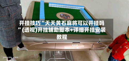开挂技巧“天天黄石麻将可以开挂吗”(透视)开挂辅助脚本+详细开挂安装教程-第3张图片