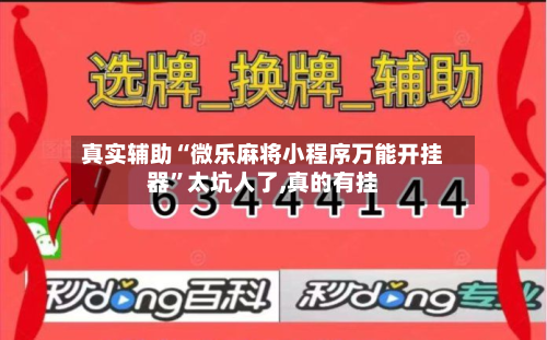 真实辅助“微乐麻将小程序万能开挂器”太坑人了,真的有挂-第2张图片