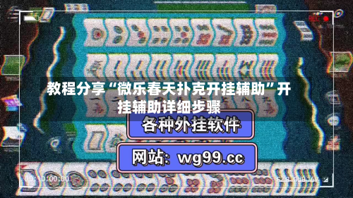 教程分享“微乐春天扑克开挂辅助	”开挂辅助详细步骤-第2张图片