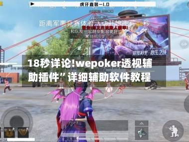 18秒详论!wepoker透视辅助插件”详细辅助软件教程