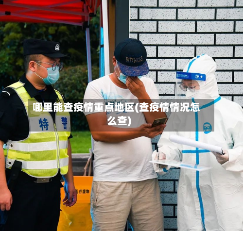 哪里能查疫情重点地区(查疫情情况怎么查)