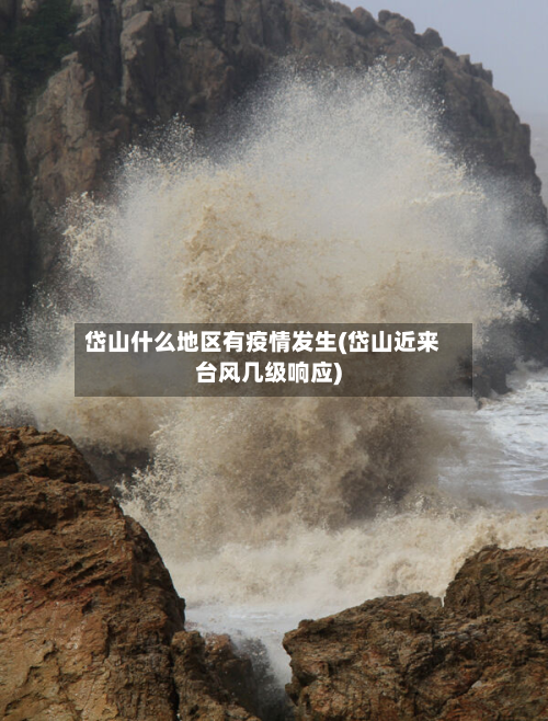 岱山什么地区有疫情发生(岱山近来台风几级响应)-第2张图片