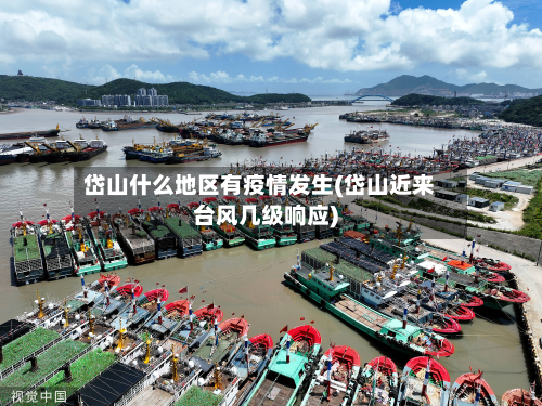 岱山什么地区有疫情发生(岱山近来台风几级响应)