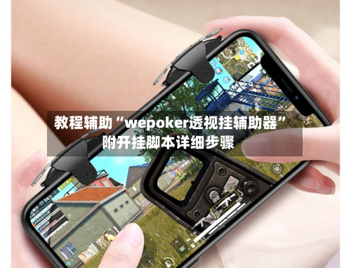 教程辅助“wepoker透视挂辅助器	”附开挂脚本详细步骤-第2张图片