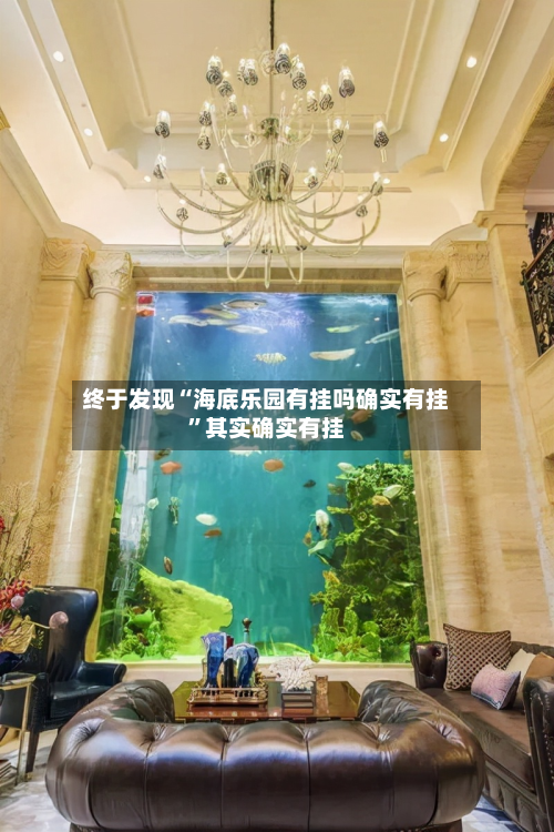 终于发现“海底乐园有挂吗确实有挂”其实确实有挂-第2张图片