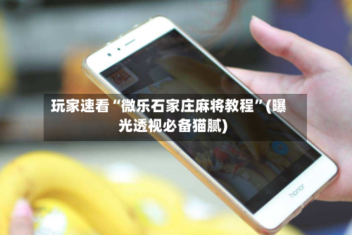 玩家速看“微乐石家庄麻将教程”(曝光透视必备猫腻)