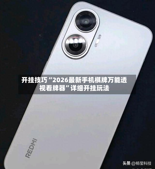 开挂技巧“2026最新手机棋牌万能透视看牌器”详细开挂玩法-第2张图片