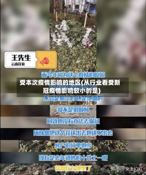 受本次疫情影响的地区(从行业看受新冠疫情影响较小的是)