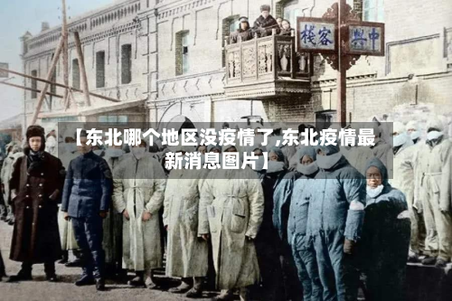 【东北哪个地区没疫情了,东北疫情最新消息图片】