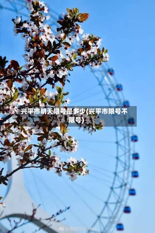 兴平市明天限号是多少(兴平市限号不限号)-第2张图片