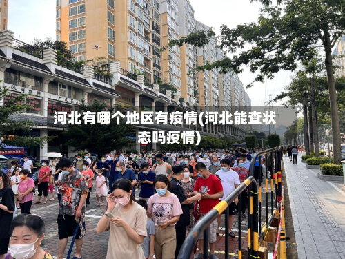 河北有哪个地区有疫情(河北能查状态吗疫情)