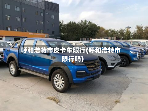 呼和浩特市皮卡车限行(呼和浩特市限行吗)-第3张图片