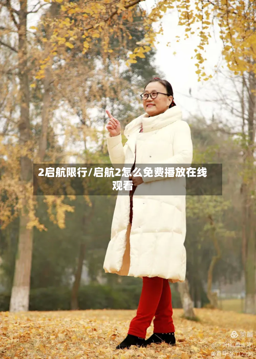 2启航限行/启航2怎么免费播放在线观看-第2张图片