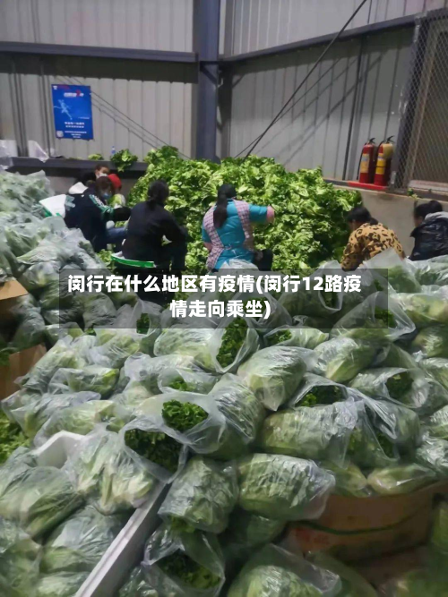 闵行在什么地区有疫情(闵行12路疫情走向乘坐)