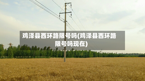 鸡泽县西环路限号吗(鸡泽县西环路限号吗现在)-第2张图片