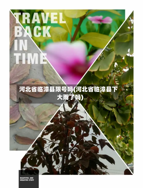 河北省临漳县限号吗(河北省临漳县下大雨了吗)-第2张图片