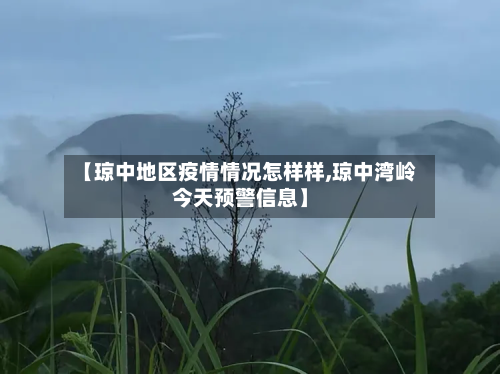 【琼中地区疫情情况怎样样,琼中湾岭今天预警信息】-第3张图片