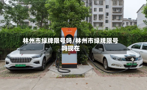林州市绿牌限号吗/林州市绿牌限号吗现在-第3张图片