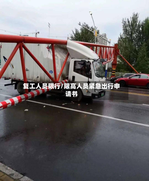 复工人员限行/限高人员紧急出行申请书