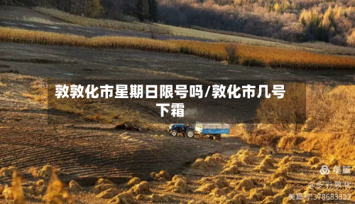 敦敦化市星期日限号吗/敦化市几号下霜-第2张图片