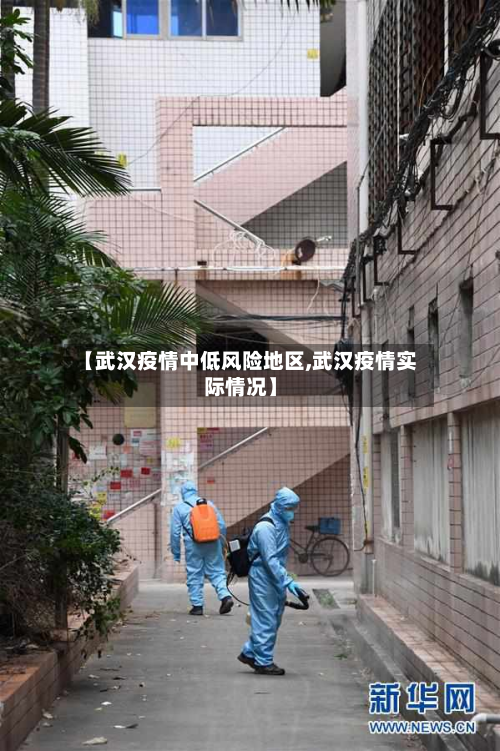 【武汉疫情中低风险地区,武汉疫情实际情况】-第2张图片