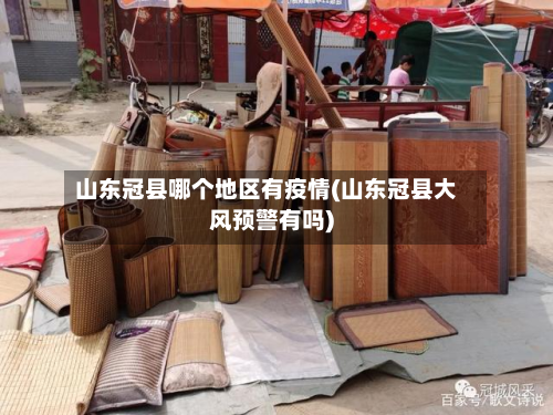 山东冠县哪个地区有疫情(山东冠县大风预警有吗)