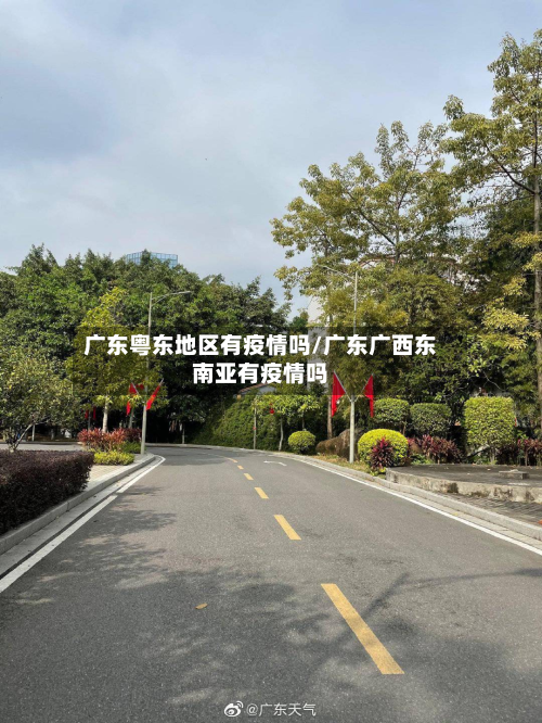 广东粤东地区有疫情吗/广东广西东南亚有疫情吗