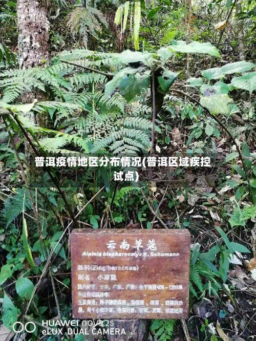 普洱疫情地区分布情况(普洱区域疾控试点)