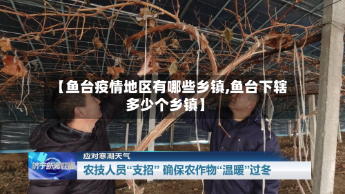 【鱼台疫情地区有哪些乡镇,鱼台下辖多少个乡镇】-第3张图片