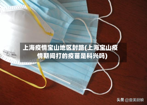 上海疫情宝山地区封路(上海宝山疫情期间打的疫苗是科兴吗)-第3张图片
